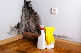 Best Asbestos and Lead Testing During Mold Inspection  in Mathews, VA